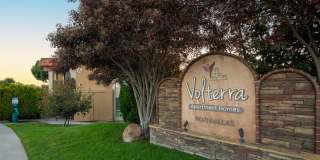 Volterra at La Mesa Gallery 42