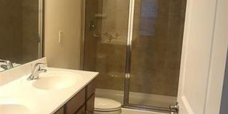 473 Panorama View Loop Gallery 14