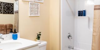 Paugus Woods Gallery 32