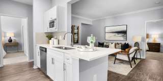Piedmont at Ivy Meadows Gallery 25