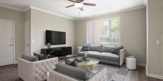 The Tides Apartments Gallery 7