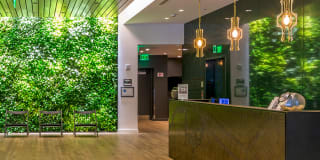Van Ness Gallery 14