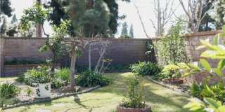 183 S Starflower Gallery 26