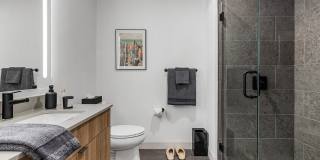 Saint Grand Gallery 26