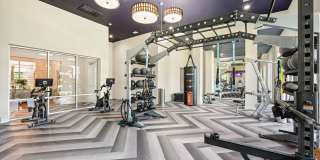 Asheville at Spring Branch Gallery 12