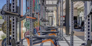 Terra Vista Gallery 23