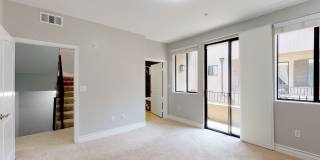 Vista Paradiso Gallery 25