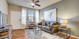 Springs at Round Rock Gallery 8