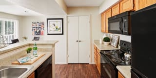 Copper Ridge Gallery 26