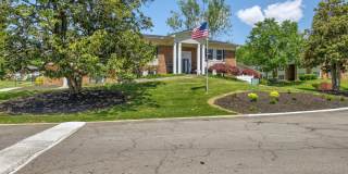 Allandale Falls Gallery 23