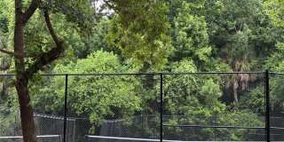 211 CROWN OAKS WAY Gallery 51