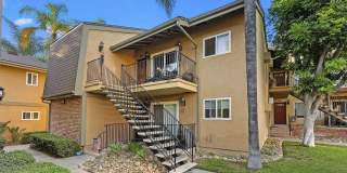 4849 Williamsburg Ln Unit 262 4849 Williamsburg Ln Unit 262 Gallery 1