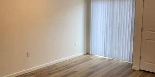 Pantano Vista Gallery 10