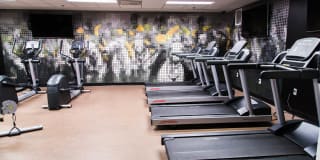 Ambassador Gallery 18