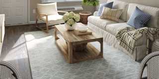 The Parks at Lanier Gallery 1