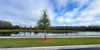 3182 EAGLE HAMMOCK CIRCLE Gallery 11