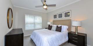 The Aster Buckhead Gallery 10