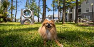 Banyan Bay Gallery 26