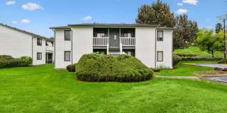 Shannon South Gallery 27