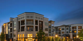 The Ellison Gallery 26
