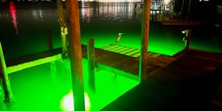 Gorgeous furnished waterfront home for rent on Okaloosa Island! Gallery 67