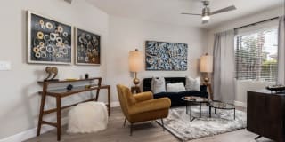 Elite North Scottsdale Gallery 5