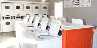 Alamo Estates Alamo Estates Gallery 23