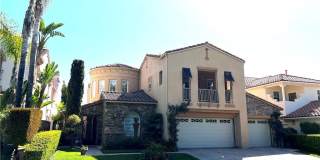 12 Water Lily Gallery 1