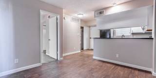 Rise on Cactus Gallery 40