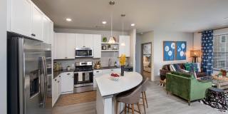 Linq at North Springs Gallery 2