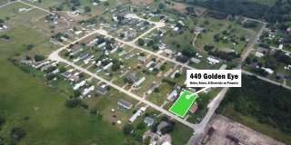 449 Golden Eye Loop Gallery 1