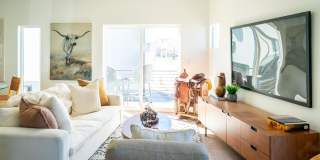 New Sky Highland Gallery 1