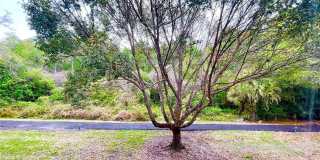1182 PINE RIDGE Circle W Gallery 24