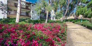 Ridgecrest Apartments Gallery 35