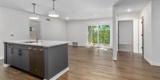 River Birch Apartments Gallery 7