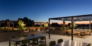 Star Harbor Gallery 17