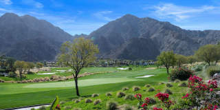 53240 Del Gato Drive Gallery 44