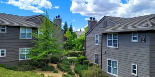 Lake Forest Gallery 23