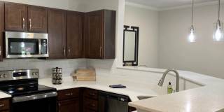 Perserve at Columbus Park Gallery 3