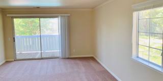 One Bedroom One Bath Spacious Unit with Large Enclosed Patio Gallery 7