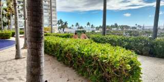 1765 Ala Moana Boulevard Gallery 2