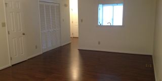 2061 Trexler Ct ~ Falcon Ridge Townhomes ~ 2 Bedroom / 2.5 Bathrooms ~ Hardwood Floors downstairs Gallery 5