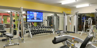 Mira Upper Rock Gallery 66