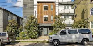 The Junior Gallery 1