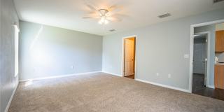 233 TOWHEE ROAD Gallery 41