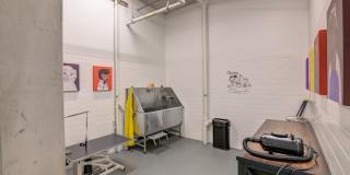 The Landing Gallery 36