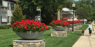 Arlington Heights Gallery 37