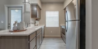 Olympus at Ten Mile Gallery 2