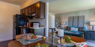 Hamilton Square Gallery 1