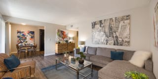 2900 Lux Apartment Homes Gallery 1